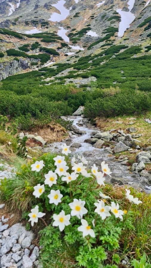 Tatry Ela Big Apartment Štrbské Pleso 外观 照片